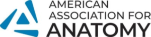 The American Association for Anatomy logo